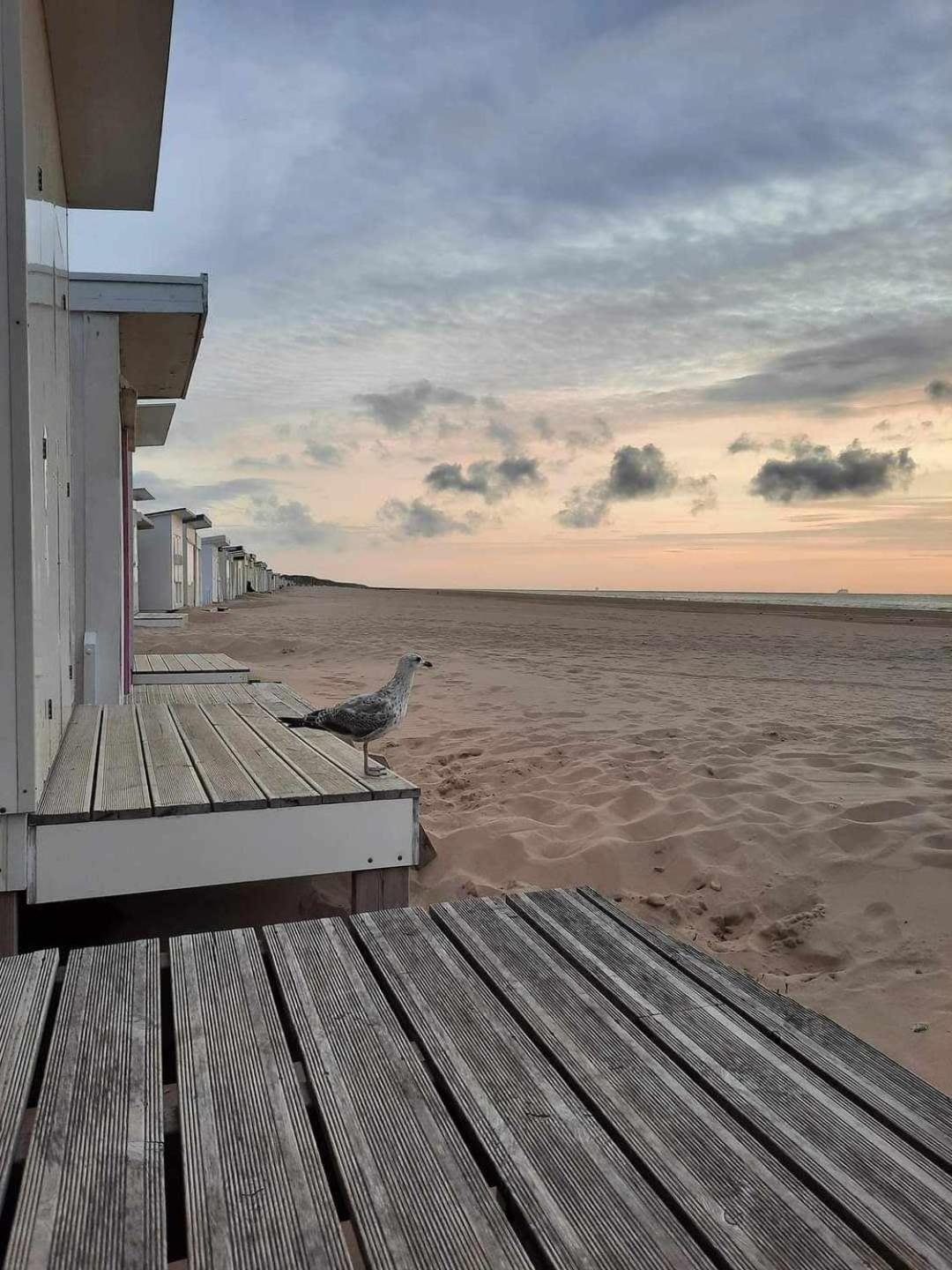 Calais Plage-Gare Appartement Elegant Tout Equipe المظهر الخارجي الصورة